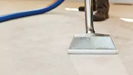 Carpet cleaning wand head gliding over a light carpet during hot-water extraction, Reno, NV.