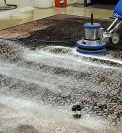 Professional rug cleaning with a rotary floor machine and shampoo foam, deep-cleaning an area rug Reno, NV.