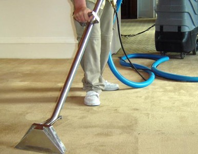 89431 Carpet Cleaning Services Experienced Professionals Complete